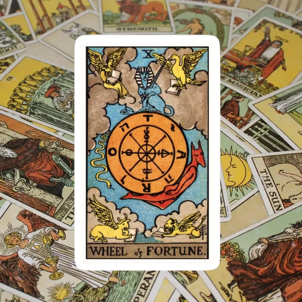 Plataforma educativa para cursos de tarot online