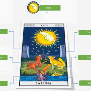 Curso Simbología Rider