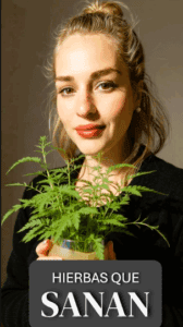 HIERBAS QUE SANAN