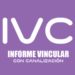 Informe Vincular + Canalización