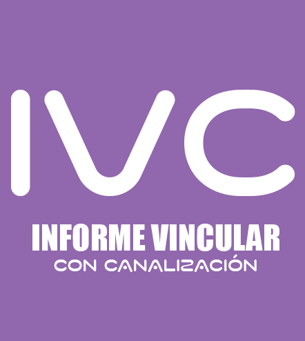 Informe Vincular + Canalización